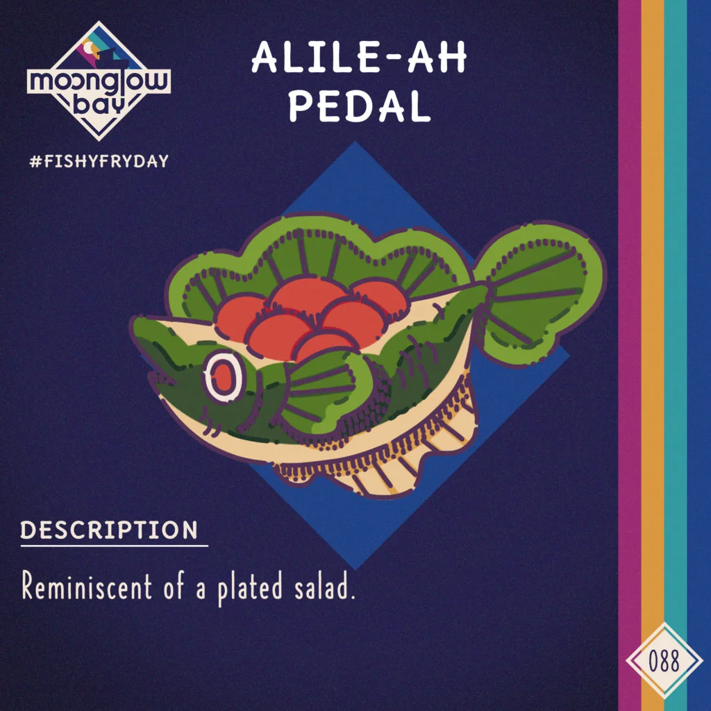 Side view of a fish shaped and designed like a plated salad with lettuce and tomatoes