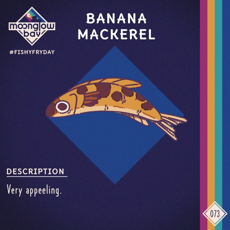 Side view of a banana shaped mackerel with brown spots across its body and a large peeking eye.