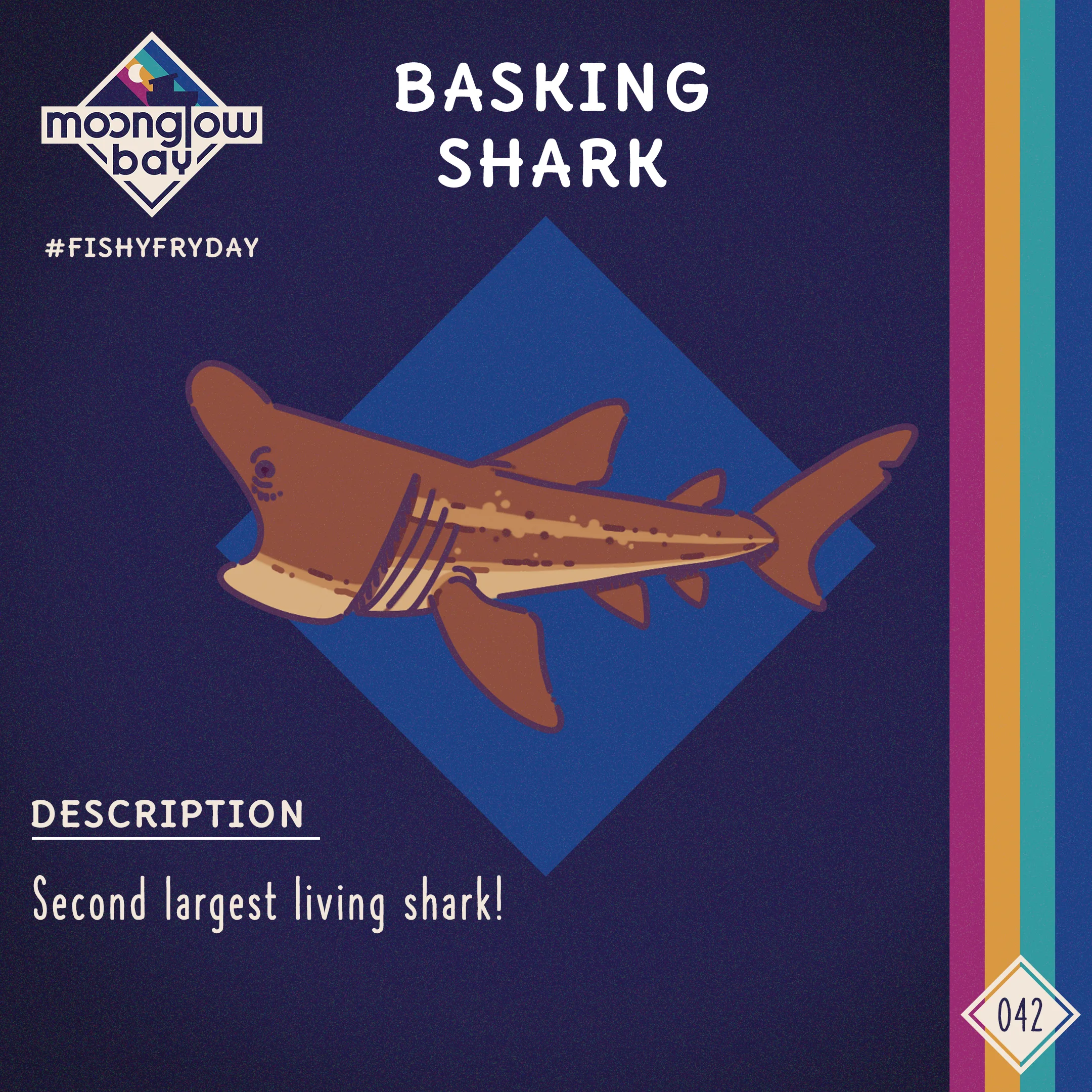 Side view of a huge brown Basking Shark with its mouth wide open.