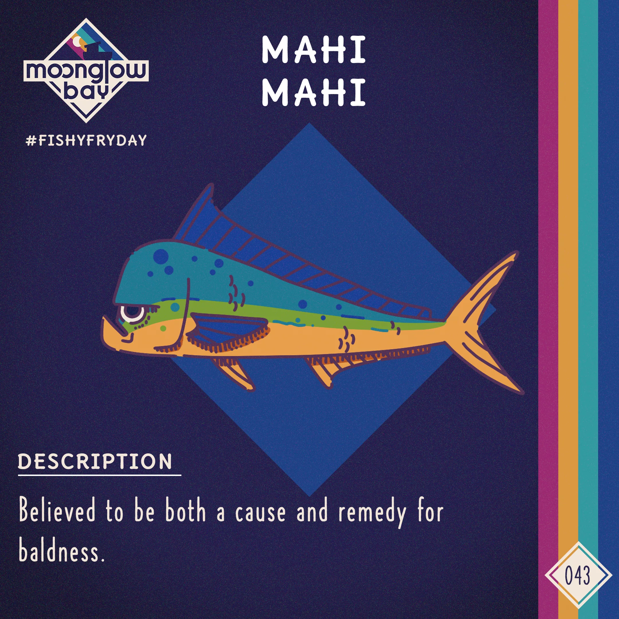 Side view of a blue and yellow coated fish which appears to be quite aggravated that we're taking its picture at all.